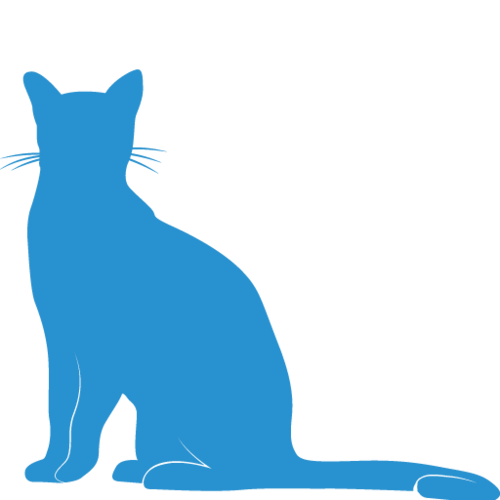 Feline wellness package icon