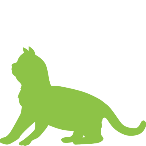 Kitten wellness package icon