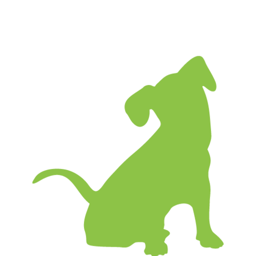 Puppy wellness package icon