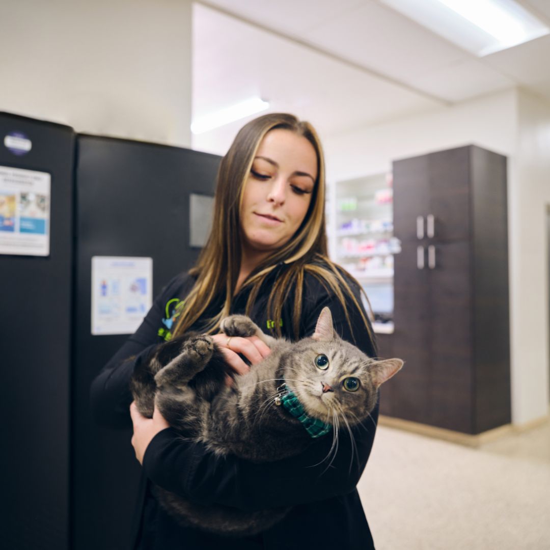 a woman holding a cat