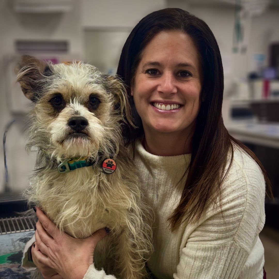 a woman holding a dog