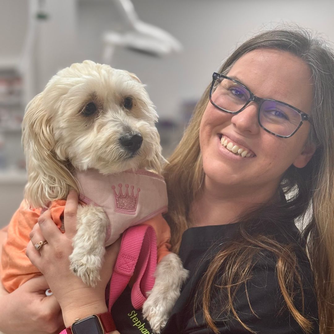 a woman holding a puppy