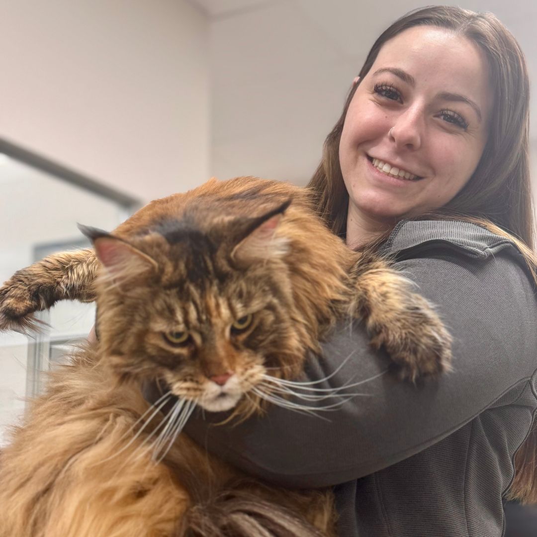 a woman holding a cat