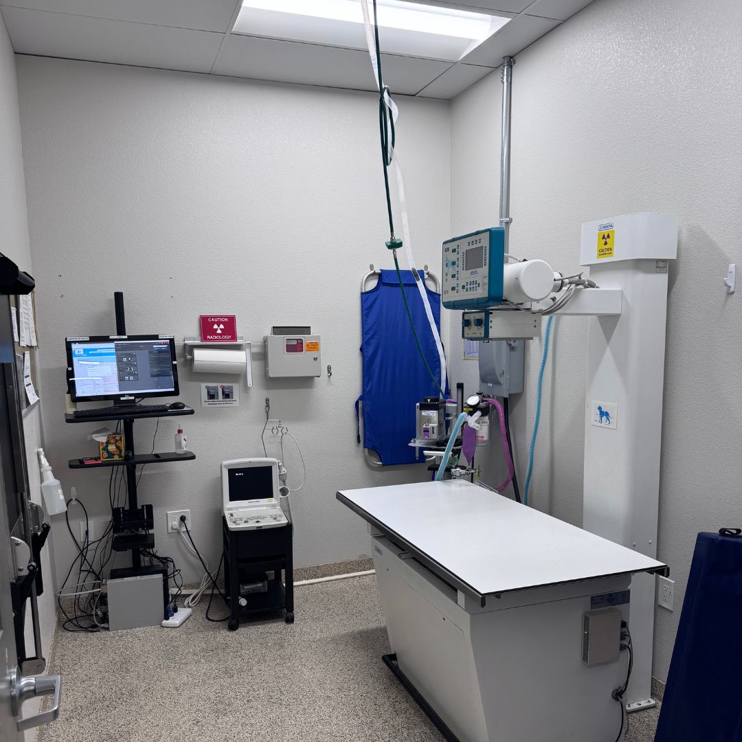 an x-ray room