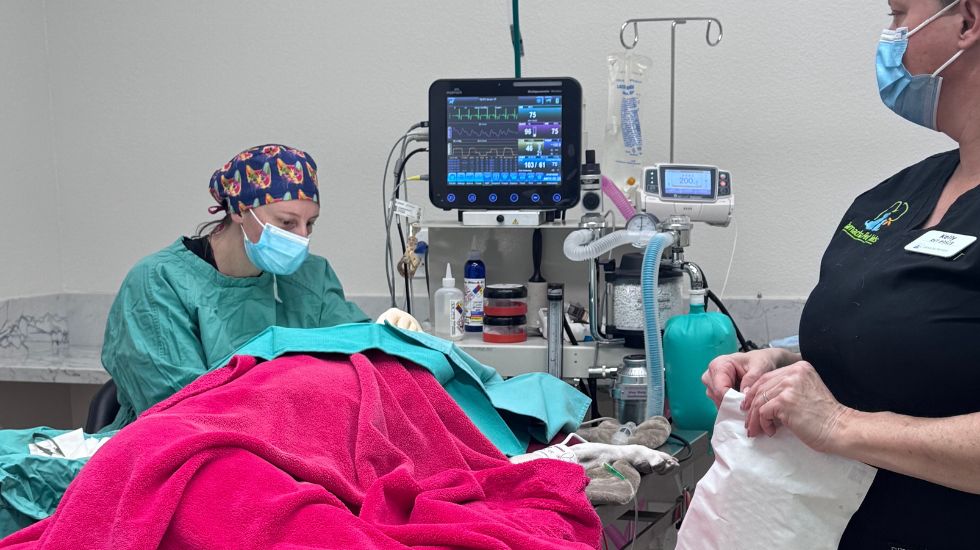 two people in a hospital room