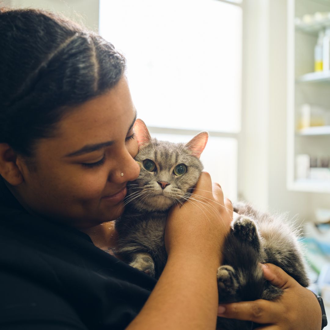 a woman holding a cat