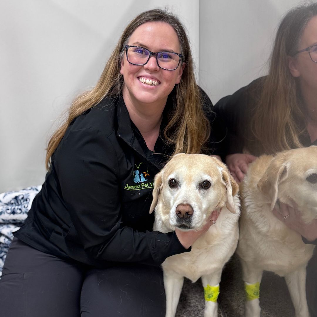 two dogs and a woman