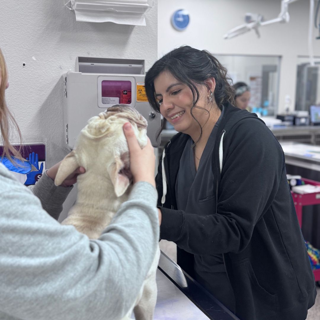 a woman petting a dog in a vet's office