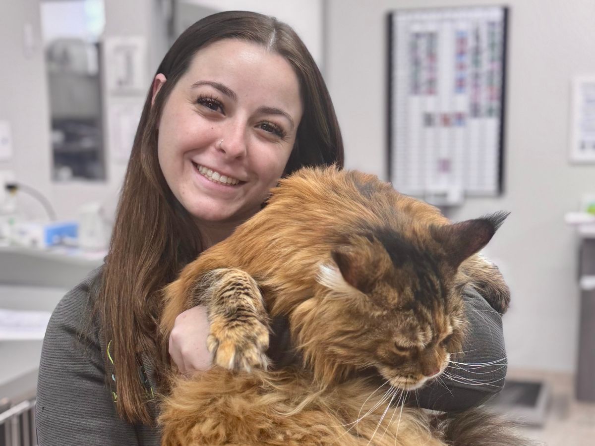 a woman holding a cat