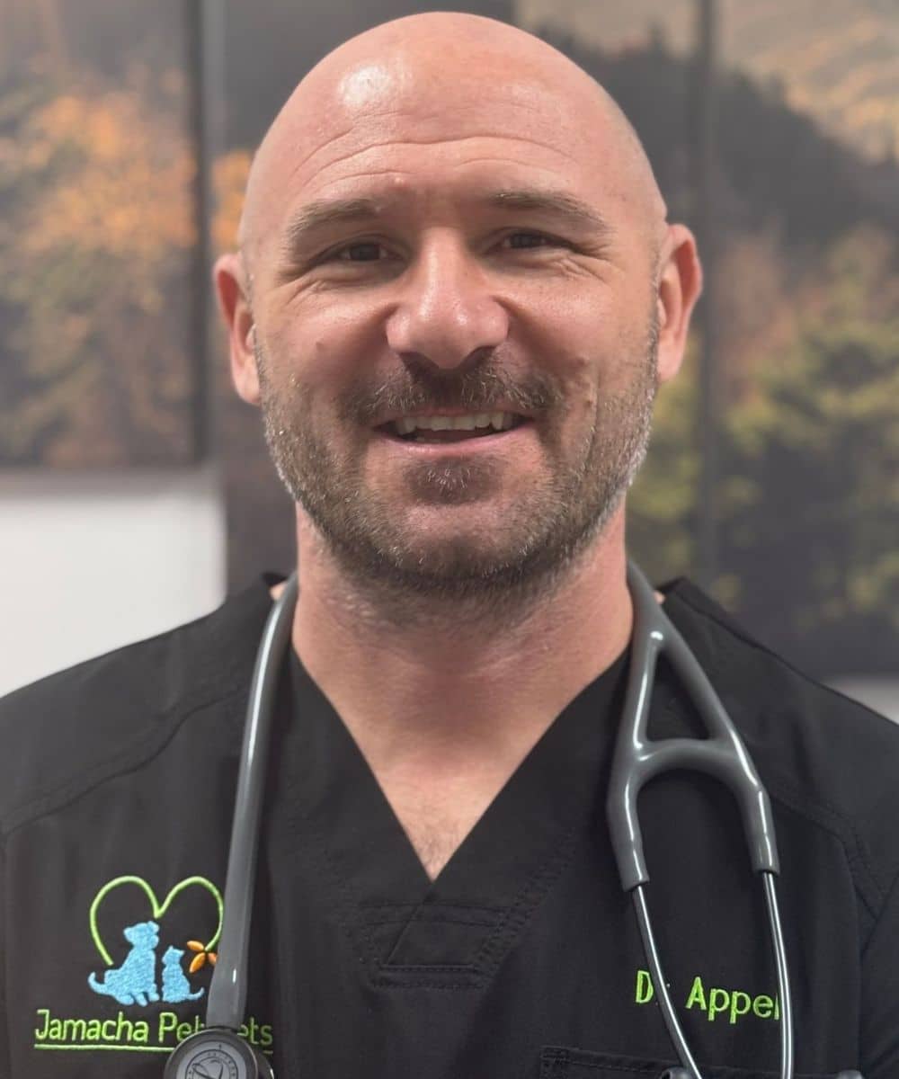 Dr. David Appel<br />
