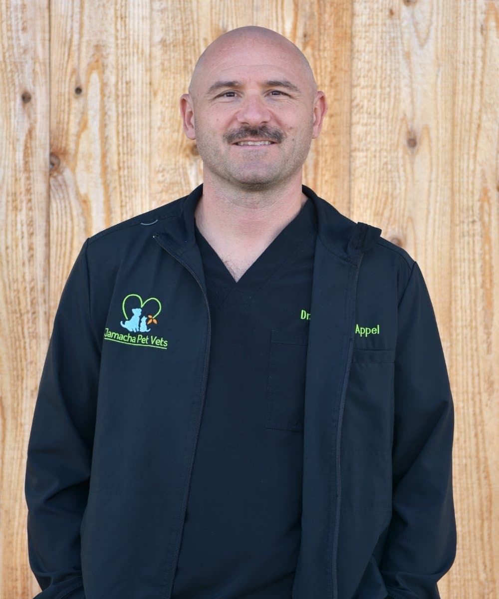 Dr. David Appel<br />
